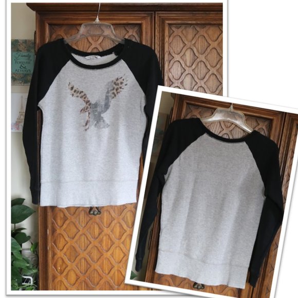 American Eagle Outfitters Vintage Raglan Sweater - Leopard print Eagle Logo - Picture 16 of 16